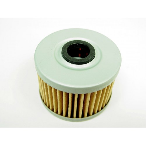 Replacement Filter for 15-6504 Kit